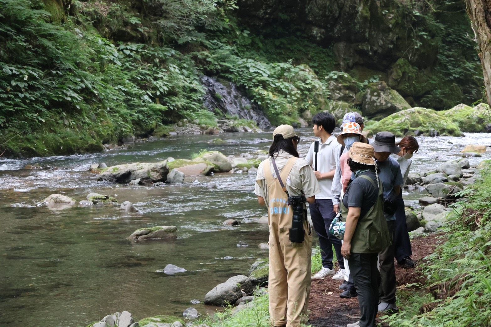 ガイドと参加者が足羽川の渓流を観察する様子